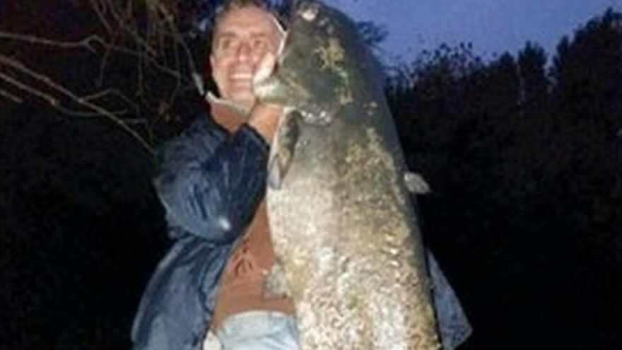Som od 51 kilogram iz Zapadne Morave