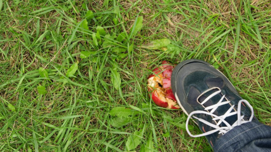 U Rusiju kao "bh voće" slali i jabuke iz Somalije?