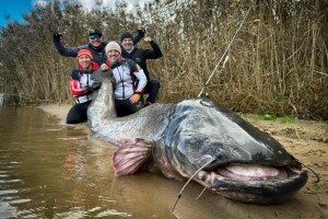 Rekordni som dug 292 centimetra ulovljen u Poljskoj, najveći na svijetu!