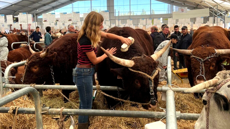 Vodeći europski sajam stočarstva posvećen trima pasminama goveda