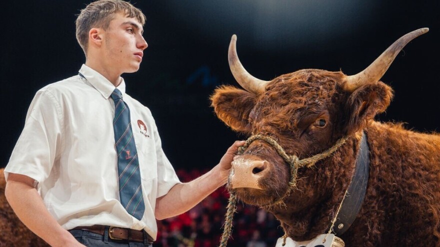 Oko 1.700 izlagača iz 35 zemalja dolazi na 33. "Sommet de l'Élevage"