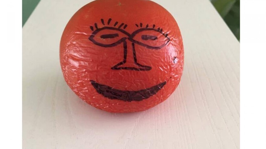 Sonja - paradajz koji je vječan?