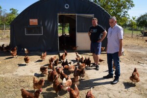 Sovar: Da nije bilo klastera ne bih se ni bavio jajima