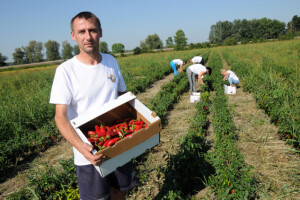 Sotinac proizvodi ono čega nema i dobro mu ide!