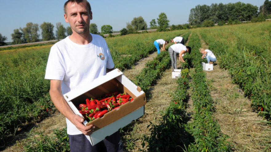 Sotinac proizvodi ono čega nema i dobro mu ide!