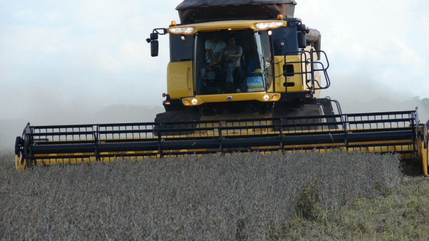 Predviđaju se dobre cijene za soju i suncokret