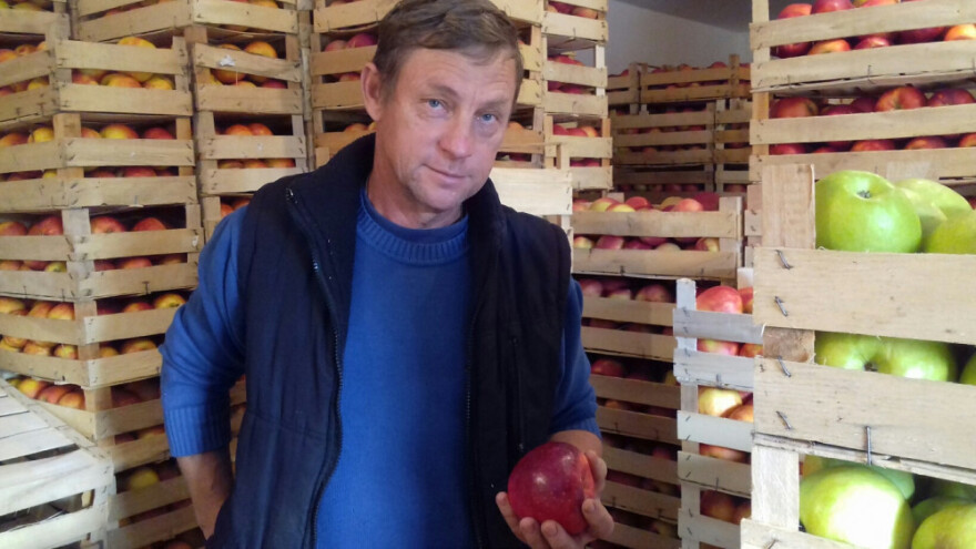 Urod slab, ali zdrav - raste i cijena domaće jabuke!