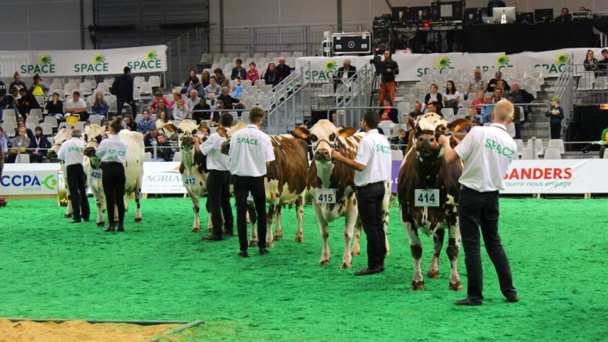 SPACE 2021 napokon uživo: U fokusu kritike usmjerene prema stočarima