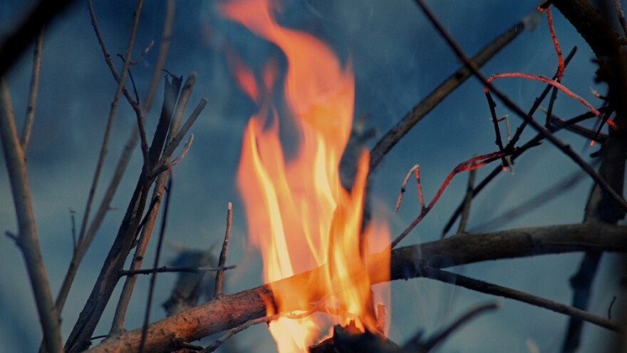 Spalio zasad malina od tri duluma