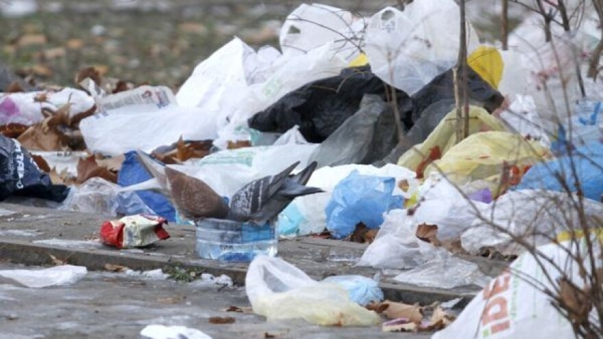 Rusi spaljuju hranu sa zapada!