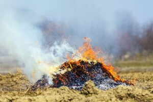 Oprez pri spaljivanju korova - ima i žrtava!
