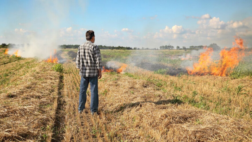 Spaljivanjem biljnih ostataka osiromašujete tlo