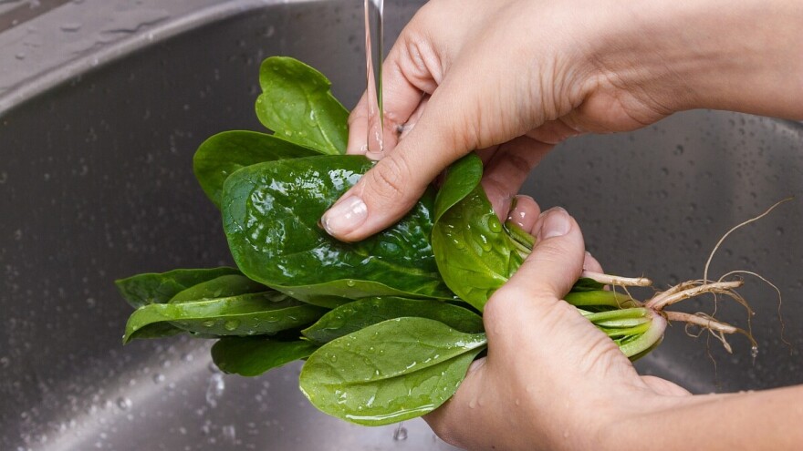 Preko 60 osoba hospitalizovano nakon što su jeli spanać - šta su zapravo pojeli?