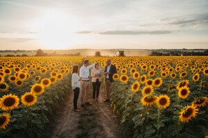 Španjolci u Slavoniji žele kupovati uljarice