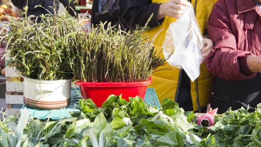 Oštrolisna šparoga - prijatelj nerođene djece