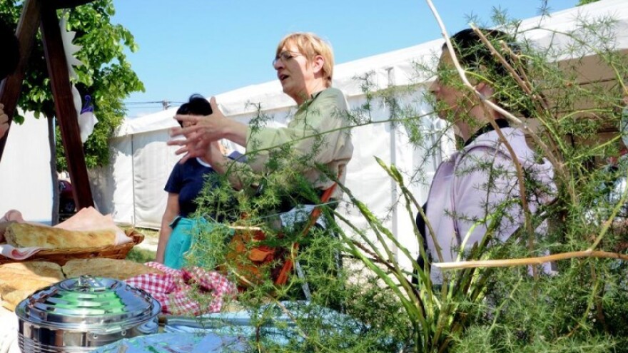 Šparogada u Kaštelu kod Buja!