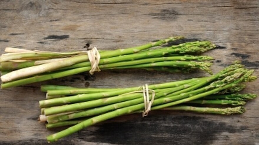 InterAspa - sajam šparoga i bobičastog voća