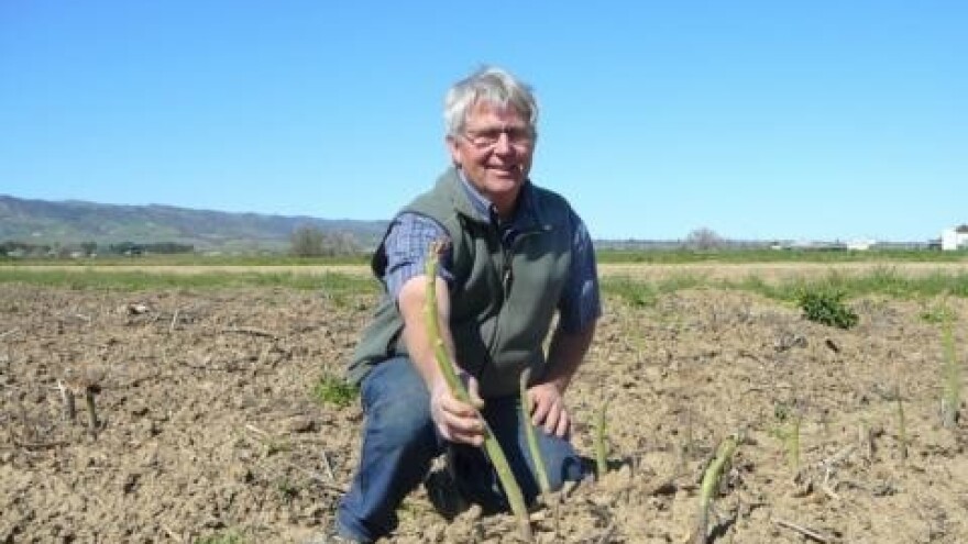 Šparoge uranile pola godine!