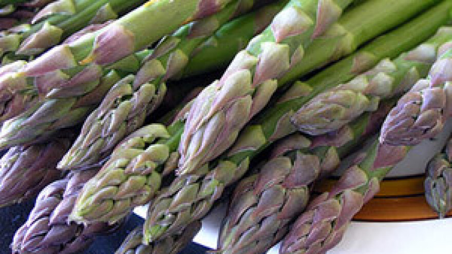 Vinkovčani jedini u Hrvatskoj proizvode šparoge