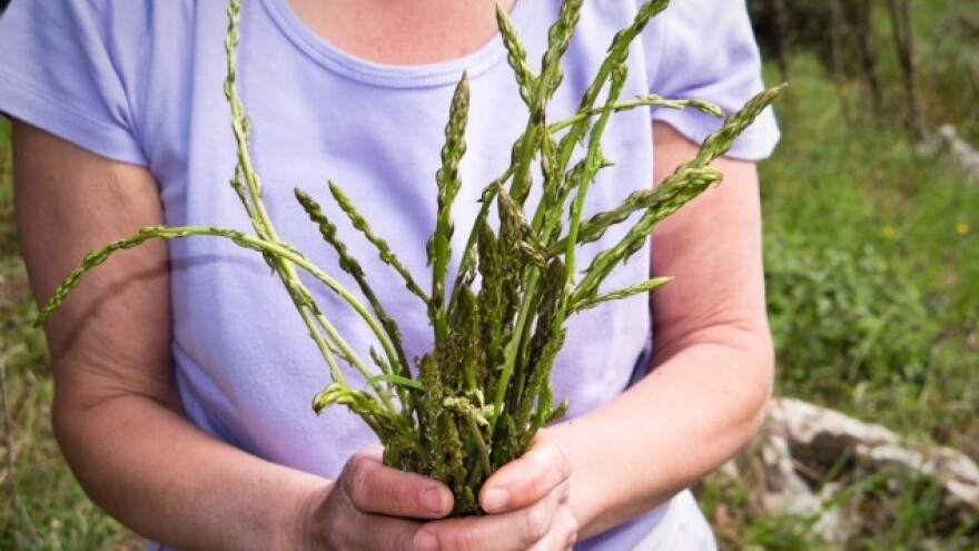 Koliko zapravo košta stručak šparoga?