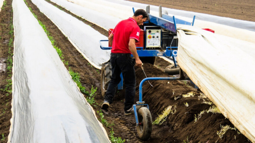 Odakle nitrati u povrću i kako djeluju na zdravlje?