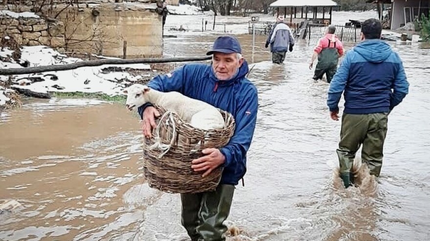 Životinje u vreme poplava prolaze kroz isti stres kao i ljudi