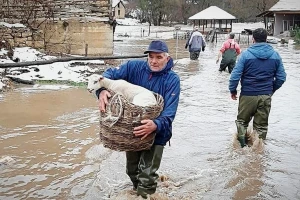 Životinje u vrijeme elementarnih nepogoda prolaze kroz isti stres kao i ljudi
