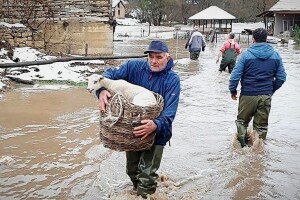 Životinje u vrijeme elementarnih nepogoda prolaze kroz isti stres kao i ljudi