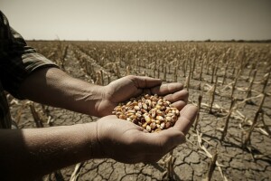 Špekulanti izgladnjuju svijet