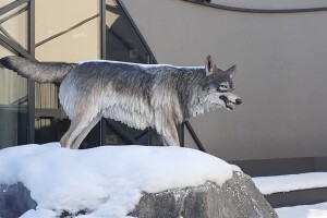 Kakav je bio život u ledeno doba osim što su vukovi bili duplo veći, otkriva Speleon