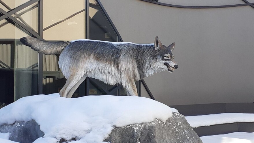 Kakav je bio život u ledeno doba osim što su vukovi bili duplo veći, otkriva Speleon
