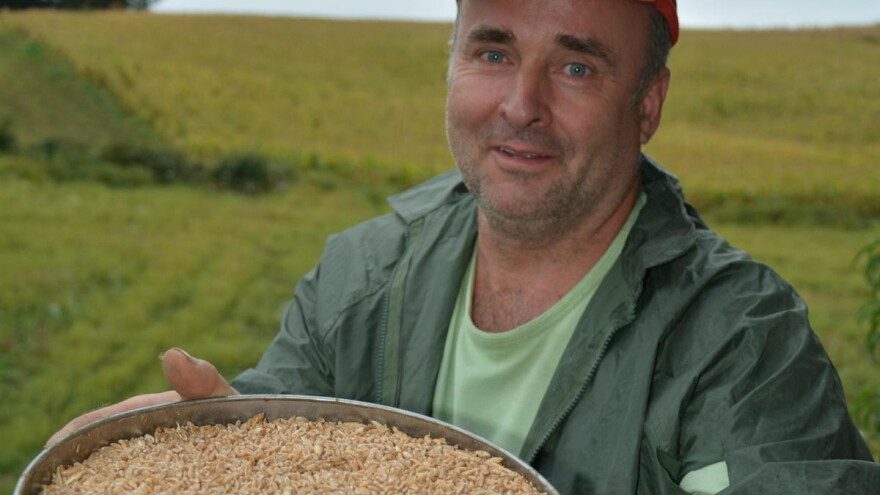 Radenko Šešić: Vlada veliko interesovanje za brašno od spelte, možda ću proširiti proizvodnju