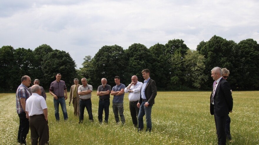 Uzgoj kamilice Spider grupe širi se i na Mađarsku!