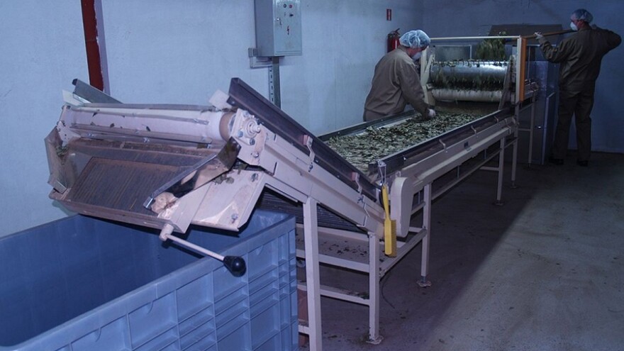 3,4 milijuna kuna za skladištenje i pakiranje čaja