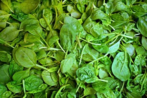 Popaj je ipak bio u pravu - špinat povećava snagu