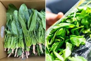 Recite "zbogom" kutijama od banana: Kako spremiti špinat za prodaju?