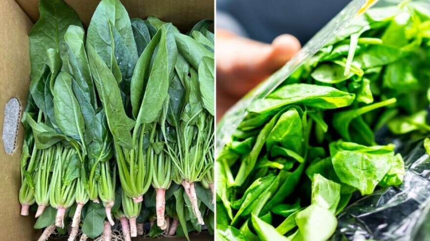 Recite "zbogom" kutijama od banana: Kako spremiti spanać za prodaju?