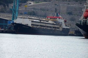 Brod smrti: Hiljade steonih krava dva mjeseca zarobljene na moru