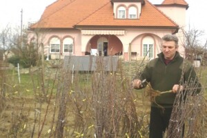 Rasadnik koji uspijeva i u teškim vremenima!