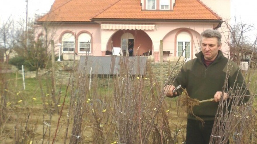 Rasadnik koji uspijeva i u teškim vremenima!