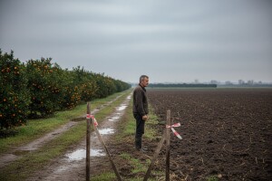 Sporno državno poljoprivredno zemljište u dolini Neretve