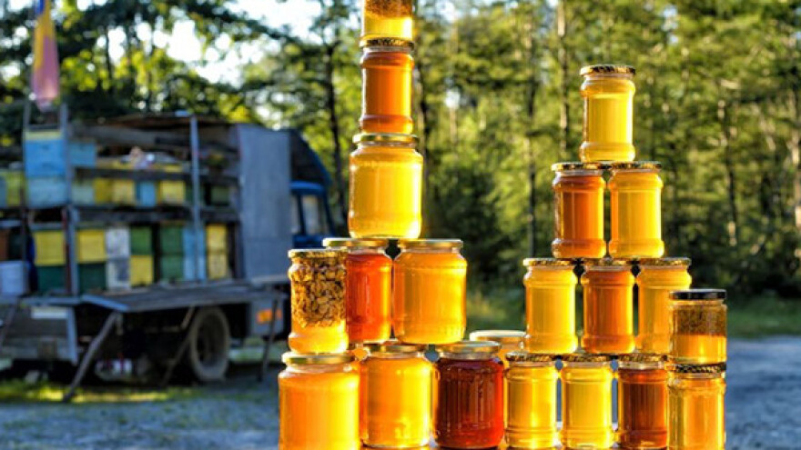 SPOS sa otkupljivačima meda dogovara saradnju
