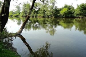 Spreča redovno plavi poljoprivredne posjede - hoće li korito konačno biti uređeno?