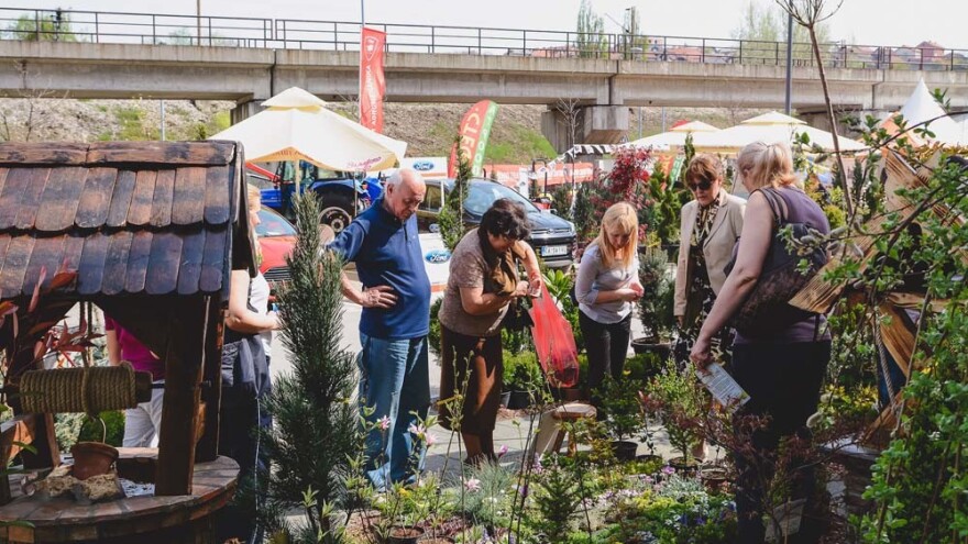 Da li malim preduzetnicima učešće na sajmu znači i veći broj kupaca?!