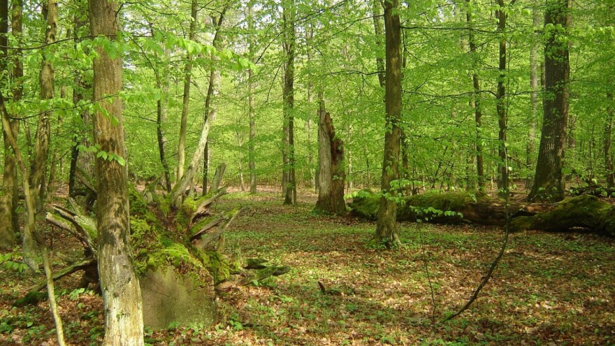 Krenulo slanje ugovora korisnicima natječaja za operaciju 8.5.1.