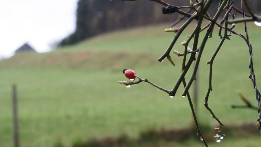 Nepovoljno za radove na otvorenom zbog kiše