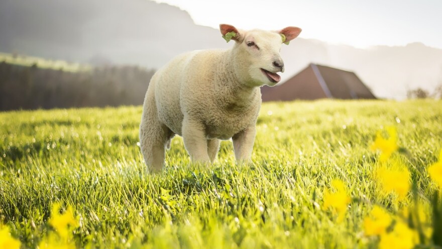 Temperature iznad 20°C, a onda promjena vremena