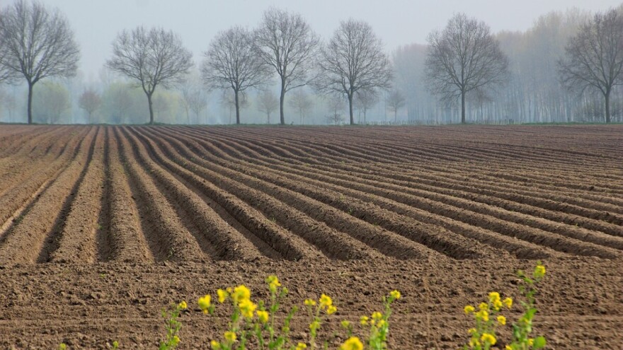 Dodijeljeno 49 grantova za start up u poljoprivredi u vrijednosti 480.000 KM