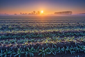 Spustile se temperature