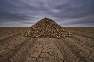 Srbi definitivno ne daju repu Hrvatskoj?